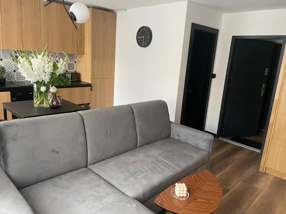 Apartamenty Nadrzeczna 14 Karpacz Exteriör bild