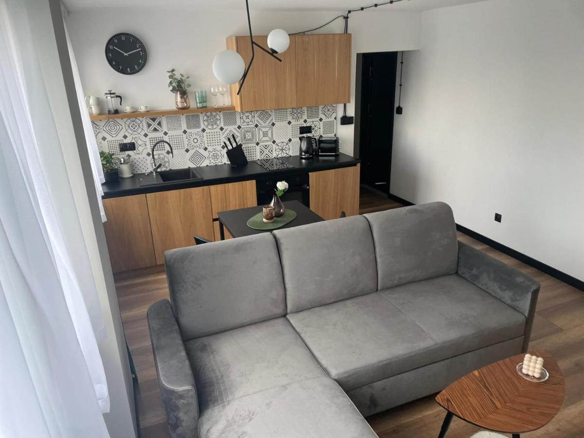 Apartamenty Nadrzeczna 14 Karpacz Exteriör bild